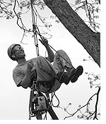 Dr. Brian Kane, Associate Professor of Arboriculture and Community Forestry at the University of Massachusetts