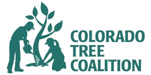 Colorado Tree Coalition arboriculture education grant EAB