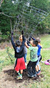 Erecting wire fence